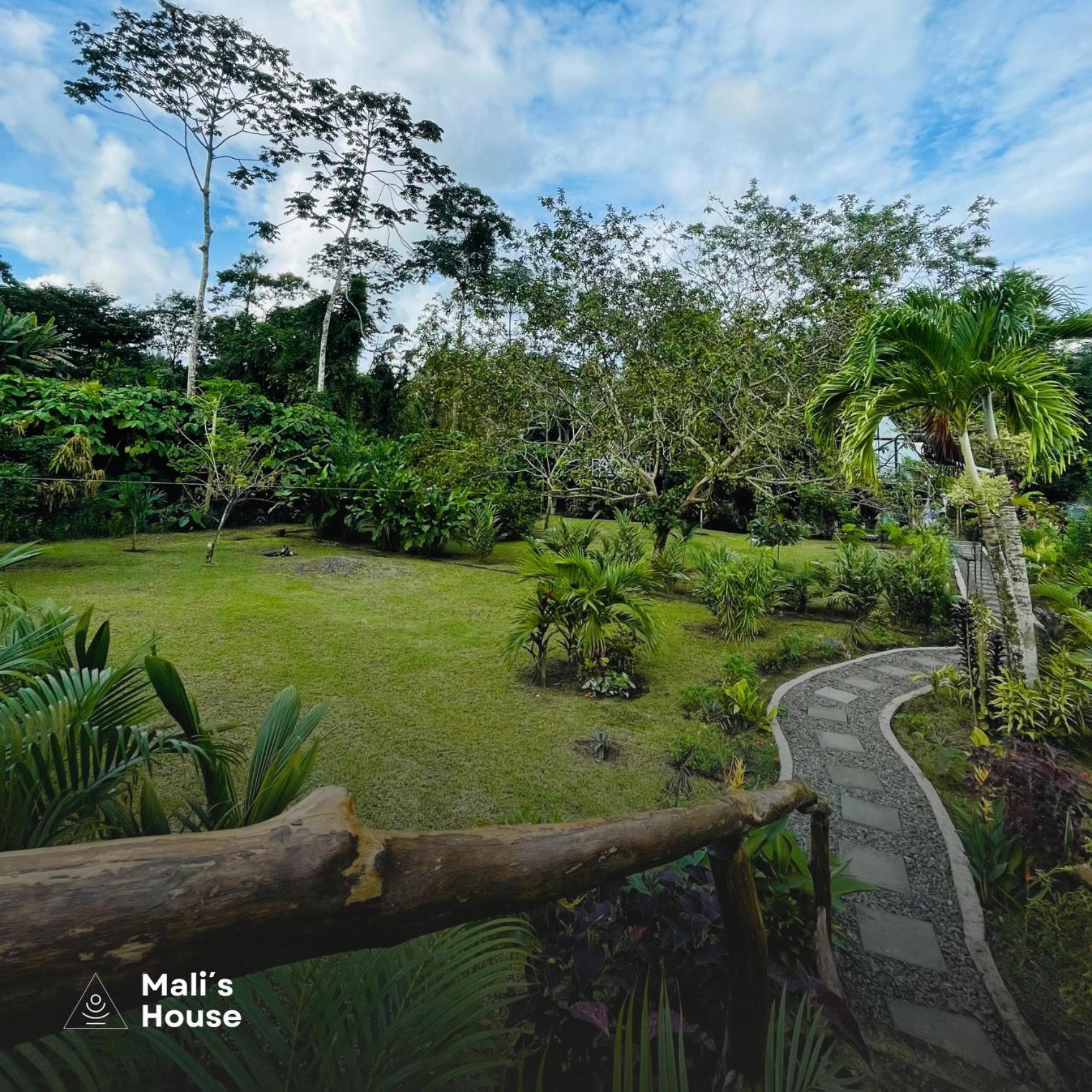 Mali'S House Hotel La Fortuna Eksteriør billede